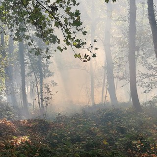 Incendi boschivi, dalla Regione quasi 5 milioni per la prevenzione