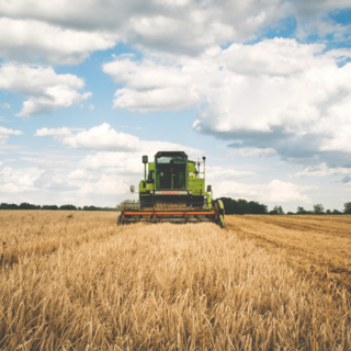 Confagricoltura: in Europa fertilizzanti a prezzi equi per garantire sicurezza alimentare e produttività invariata.