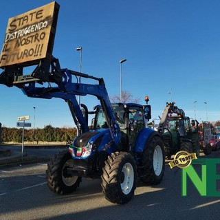 Gli agricoltori tornano in piazza: &quot;Proteste condivise, non possiamo rimandare&quot; - Foto di repertorio.