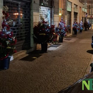 Natale a Biella è anche alberi decorati dai commercianti di via Delleani per un'iniziativa sostenibile