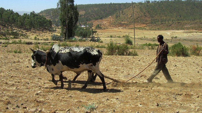 Da Lessona all'Africa: Alla scoperta dell'Etiopia al circolo cittadino