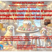 Bulli e Pupe con la Coda vi invita alla Festa degli Auguri per i suoi pelosetti