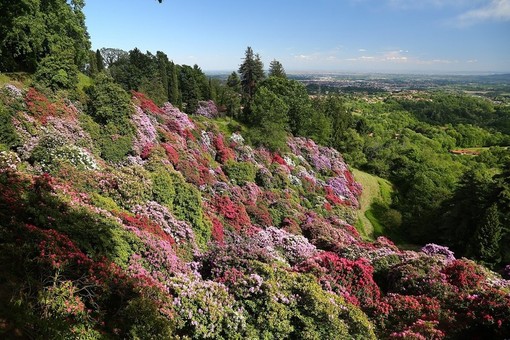 pollone parco burcina