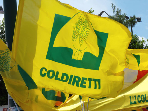 “Coldiretti Piemonte: migliaia di agricoltori in piazza per difendere la salute degli italiani”