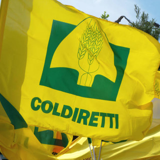 “Coldiretti Piemonte: migliaia di agricoltori in piazza per difendere la salute degli italiani”