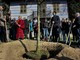 La natura accoglie, l'uomo raccoglie. Torna al Parco Burcina “Un albero accogliente” FOTOGALLERY e VIDEO