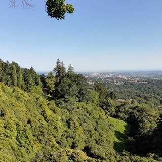 parco burcina