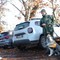 Cani che salvano cani (e non solo): contro polpette e bocconi killer arrivano a Torino le unità antiveleno.