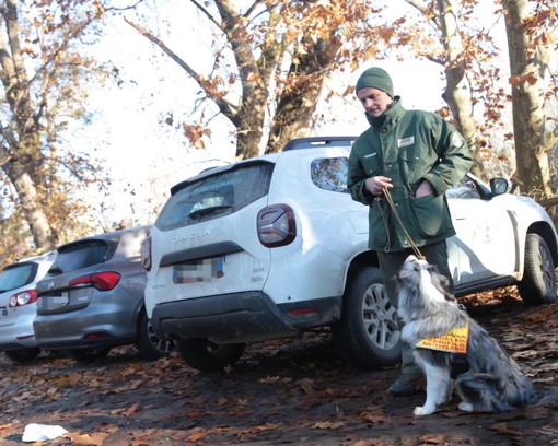 Cani che salvano cani (e non solo): contro polpette e bocconi killer arrivano a Torino le unità antiveleno.