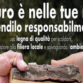 Come riscaldarsi con le biomasse legnose tutelando l’aria e l’ambiente