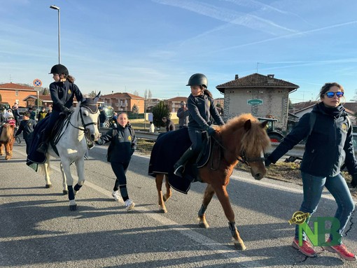 Festa di Sant'Antonio Abate a Vigliano, cresce l'attesa per la sfilata di carrozze, cavalli e trattori