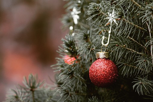 L'origine dell'albero di Natale: tra tradizioni pagane e simboli cristiani