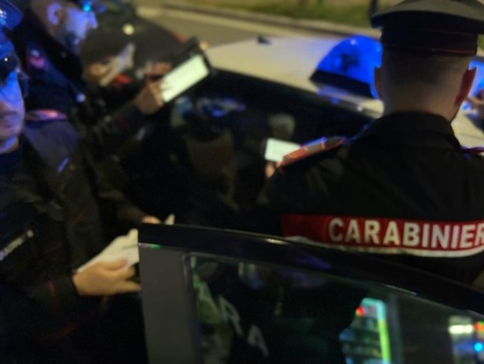 Esce di strada, abbatte un palo della luce e abbandona l'auto