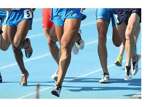 Dalla regione oltre 970 mila euro per lo sport nel secondo semestre 2024. Finanziati 56 enti e associazioni su tutto il territorio