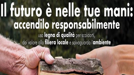 Come riscaldarsi con le biomasse legnose tutelando l’aria e l’ambiente