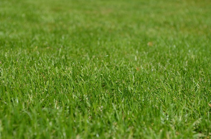 Tollegno: il Comune cerca sponsor per la gestione dell'area verde della palestra