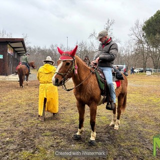 Festeggiamenti di Sant’Antonio Abate a Castelletto Cervo in compagnia degli amici a quattro zampe (foto di Maria Camilla Toffetti)