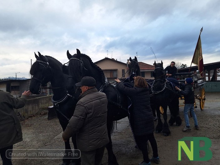 vigliano festa