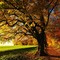 Il foliage della Bassa Serra biellese: a Salussola si celebra l’autunno.