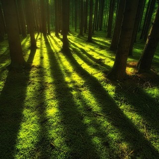 sentinelle natura