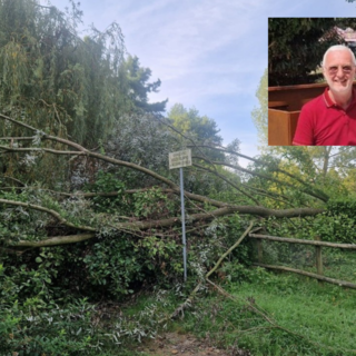 Biella, oltre 100 interventi di manutenzione del verde tra luglio e agosto. Franceschini: “Rimetteremo in ordine l'intera città&quot;