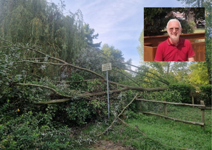 Biella, oltre 100 interventi di manutenzione del verde tra luglio e agosto. Franceschini: “Rimetteremo in ordine l'intera città&quot;