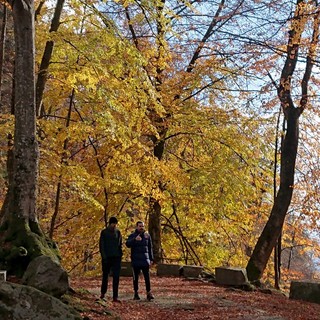 “Camminanatura 2024” a ottobre un’escursione fra i colori della Burcina.