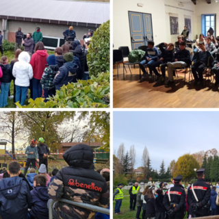 Giornata Nazionale dell’Albero: le scuole biellesi celebrano la natura.