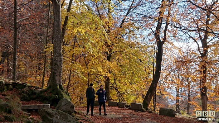 “Camminanatura 2024” a ottobre un’escursione fra i colori della Burcina.