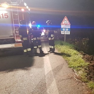 Salussola: pianta cade sulla carreggiata e finisce su due auto in transito, foto archivio