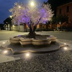 miagliano luci