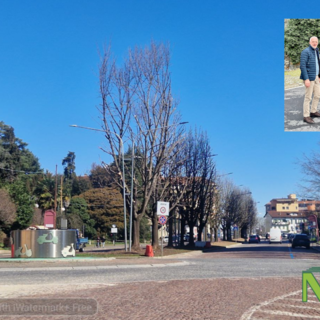 Biella, avanti tutta con asfaltature, manutenzione del verde e nuovi arredi