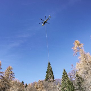 E' in Piazza San Pietro l'albero di Natale di Macra in Piemonte