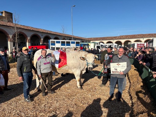 A Moncalvo un primo premio per la Macelleria Mosca