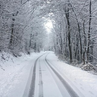 nevicate meteo