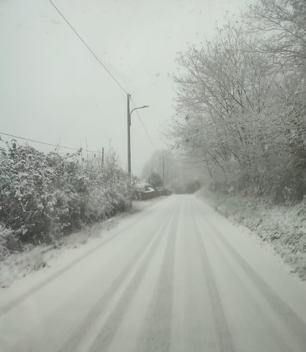 La neve è arrivata, alcune foto da Ponzone