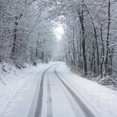 nevicate meteo