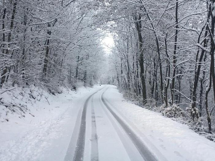 nevicate meteo