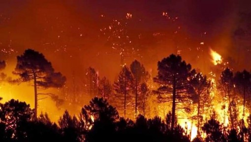 Incendi in Sardegna, agosto 2021