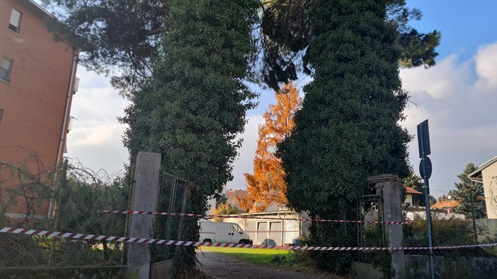 Occhieppo Inferiore, alberi pericolanti, intervento dei Vigili del Fuoco