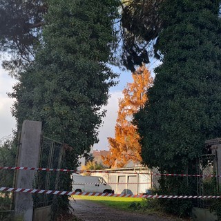 Occhieppo Inferiore, alberi pericolanti, intervento dei Vigili del Fuoco