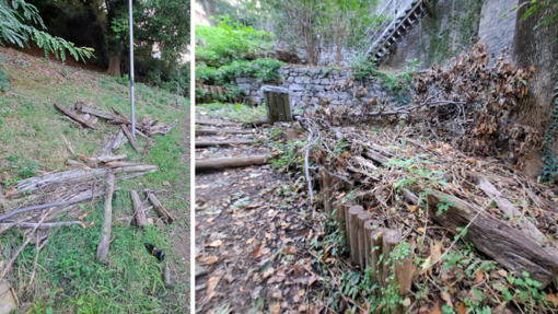 Biella: “Forte degrado al giardino panoramico del Piazzo”.