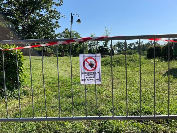 Cadono rami ai giardini Arequipa a Biella, coinvolti due bambini. Parco Chiuso, foto archivio