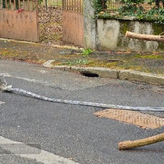 Biella, cavo della luce tranciato durante le operazioni di manutenzione, foto Benedetti