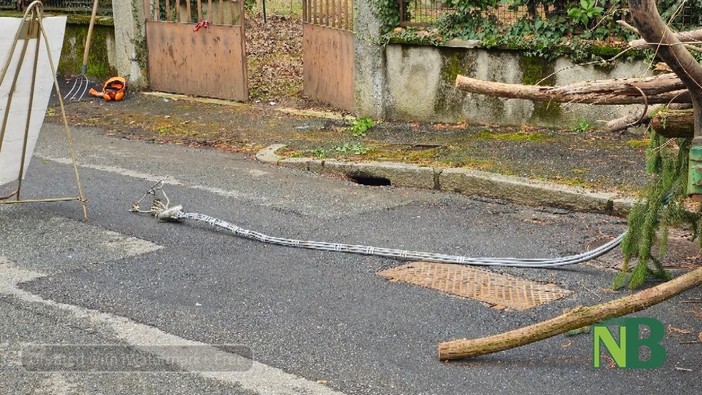 Biella, cavo della luce tranciato durante le operazioni di manutenzione, foto Benedetti