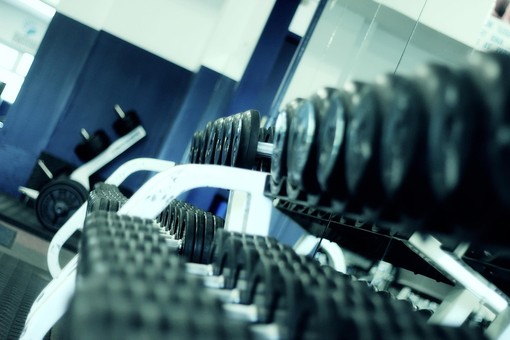 Pectoral Machine da palestra: la guida completa per scegliere il modello migliore