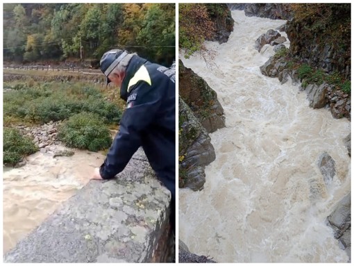 torrente cervo