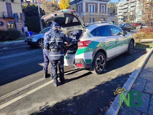 Biella: sorpresa al volante con la patente revocata da sei anni, foto archivio