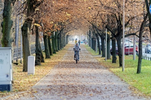 Mobilità sostenibile, Biella aderisce al bando ministeriale &quot;Bici in Comune&quot;, foto pixabay