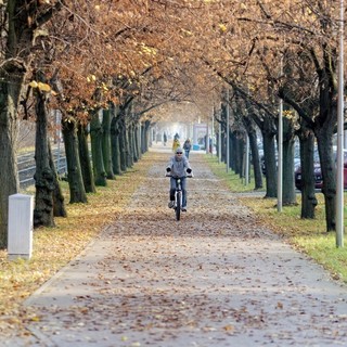 Mobilità sostenibile, Biella aderisce al bando ministeriale &quot;Bici in Comune&quot;, foto pixabay